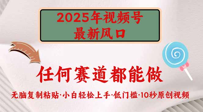 2025年视频号新风口，低门槛只需要无脑执行-小白项目网