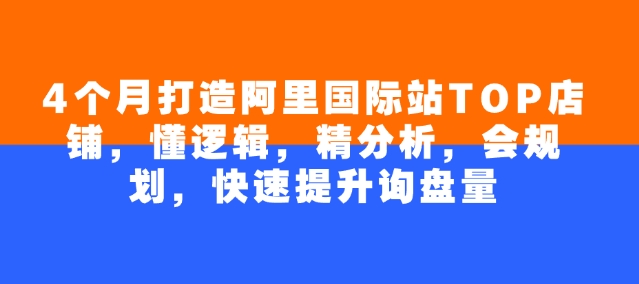 4个月打造阿里国际站TOP店铺，懂逻辑，精分析，会规划，快速提升询盘量-小白项目网