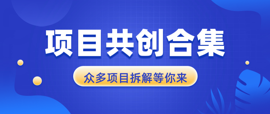 项目共创合集，从0-1全过程拆解，让你迅速找到适合自已的项目 - 小白项目网-小白项目网