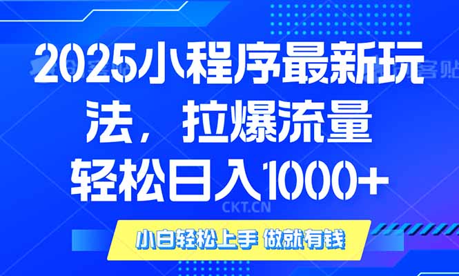 2025年小程序最新玩法，流量直接拉爆，单日稳定变现1000+-啦啦收录网