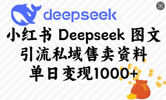 小红书Deepseek图文引流私域售卖资料，单日变现多张-小白项目网