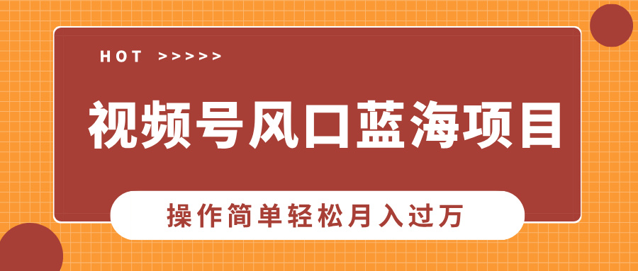 视频号风口蓝海项目，中老年人的流量密码，操作简单轻松月入过万-啦啦收录网