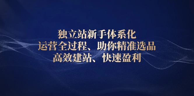 独立站新手体系化 运营全过程，助你精准选品、高效建站、快速盈利-啦啦收录网