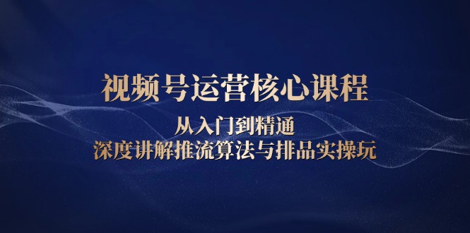 视频号运营核心课程，从入门到精通，深度讲解推流算法与排品实操玩 - 小白项目网-小白项目网