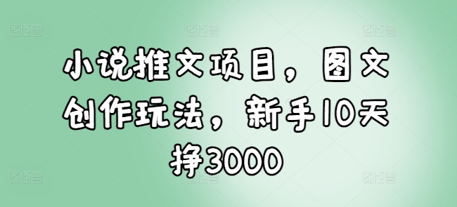 小说推文项目，图文创作玩法，新手10天挣3000 - 小白项目网-小白项目网