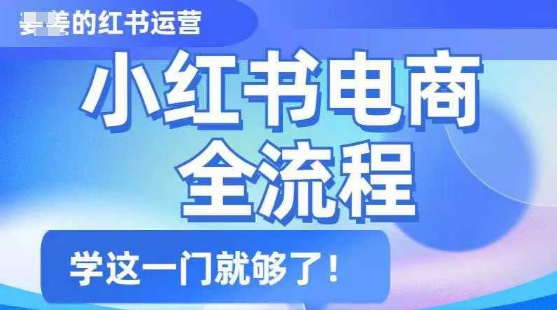 小红书电商全流程，精简易懂，从入门到精通，学这一门就够了-小白项目网