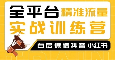 全平台精准流量实战训练营，百度微信抖音小红书SEO引流教程 - 小白项目网-小白项目网